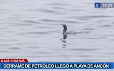 Derrame de petróleo llegó hasta playas de Ancón  - Noticias de walter-gutierrez