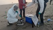 Pescadores de las playas Cavero y Delfines ubicadas en el distrito de Ventanilla alertaron un posible nuevo derrame de petróleo . / Video: Canal N