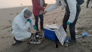 Pescadores de las playas Cavero y Delfines ubicadas en el distrito de Ventanilla alertaron un posible nuevo derrame de petróleo . / Video: Canal N