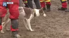 Derrumbe en Comas: Perro guía ayudó a localizar cuerpo de niño 