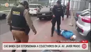 Desarticulan a la banda 'Los Rápidos de la Cultura' en San Borja