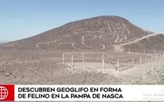 Descubren geoglifo de un felino en la Pampa de Nasca - Noticias de nasca