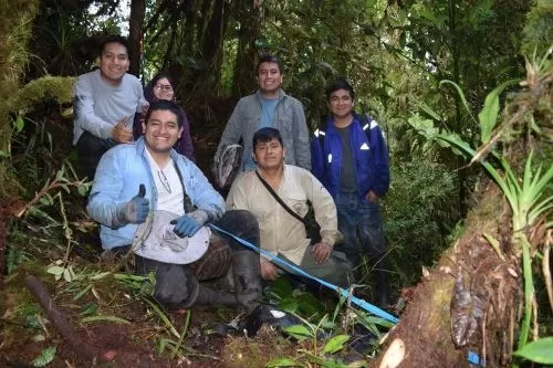 Nuevas especies de plantas en la Amazonía. Foto: Andina