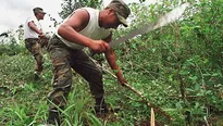 Según datos de la Comisión Nacional para el Desarrollo y Vida sin Drogas (Devida) / Foto: archivo Andina