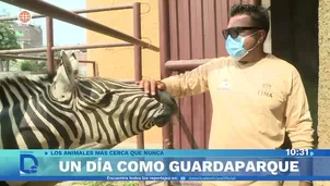 Foto y video: América Noticias