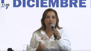 Dina Boluarte, presidenta de la República. Foto y video: Canal N