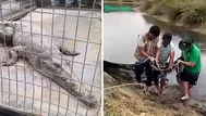 ¿Dónde encontraron al cocodrilo rescatado en Tumbes?