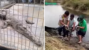 Foto y video: Canal N