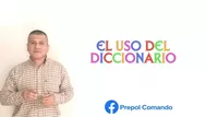 Dos minutos para aprender: El uso del diccionario 