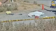 Dos perros rottweiler atacaron y causaron la muerte de una mujer