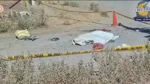 Dos perros rottweiler atacaron y causaron la muerte de una mujer/ Video y Foto: América Noticias