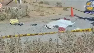 Dos perros rottweiler atacaron y causaron la muerte de una mujer/ Video y Foto: América Noticias