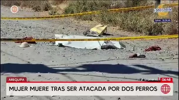 Ataque de perros causa la muerte de una mujer en Arequipa / América Noticias