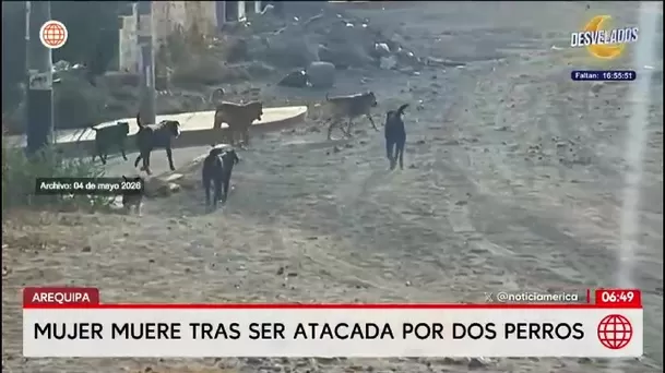 Una mujer de 66 años murió tras ser atacada por dos perros rottweiler en Sabandía/ América Noticias