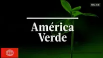 América Verde es la secuencia de noticias ecológicas de América Noticias. 