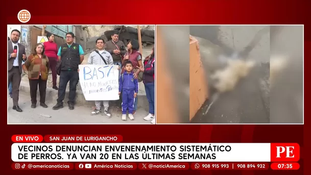 Vecinos denuncian envenenamiento masivo de perros en San Juan de Lurigancho. Foto: América Noticias Vecinos denuncian envenenamiento masivo de perros en San Juan de Lurigancho. Foto: América Noticias