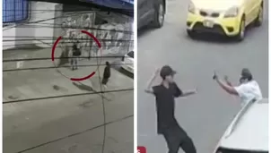 Escolar es asaltada con violencia en plena calle de SJM/ América Noticias