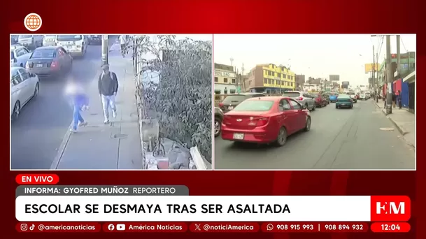 Escolar se desmaya tras ser asaltada cuando intentaba subir a un bus. Foto: América Noticias