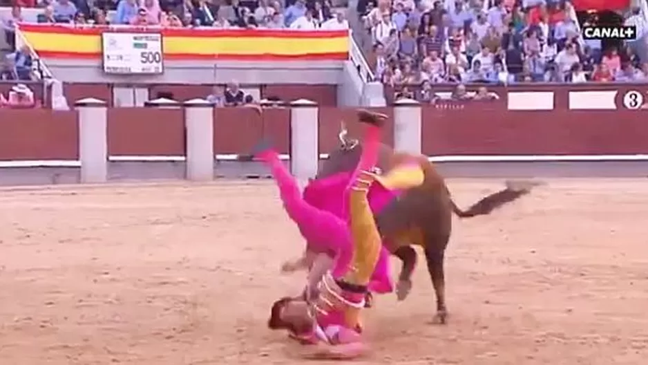 España: torero peruano resultó herido tras ser cogido por toro de 500 kilos