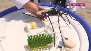 EsSalud lanza campaña contra el dengue en playas. Foto y video: Canal N