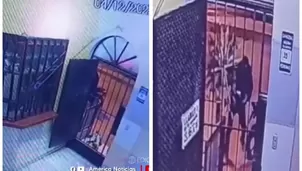 Extorsionadores dejan explosivo y corona fúnebre en hostal de VES/ América Noticias