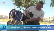 Exzapatero hace sillas de ruedas para mascotas con discapacidad