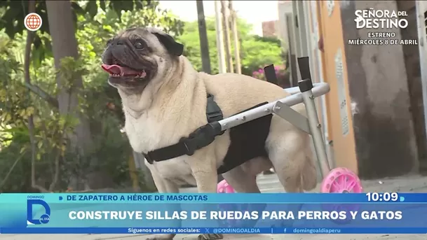 Fuente: Domingo Al Día