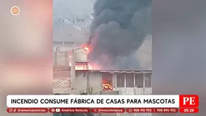 Incendio consume fábrica de casas para mascotas en Jicamarca. Foto y video: América Noticias