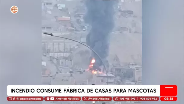 Incendio consume fábrica de casas para mascotas en Jicamarca. Foto: América Noticias