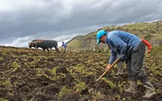 FAO: Perú es el país con mayor inseguridad alimentaria en Sudamérica - Noticias de 