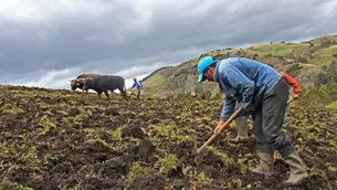 Órgano de la ONU lanzó alerta. Foto: Andina / Video: Canal N