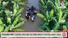 Fenómeno El Niño afectaría a pesca, agro y Gamarra