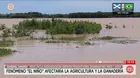 Fenómeno de El Niño amenaza la agricultura y ganadería