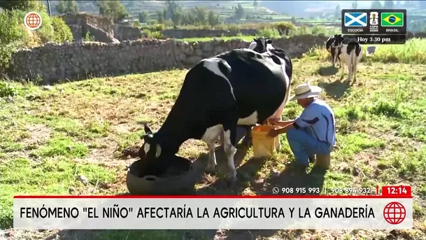 Fenómeno de El Niño amenaza la agricultura y ganadería. Foto: América Noticias