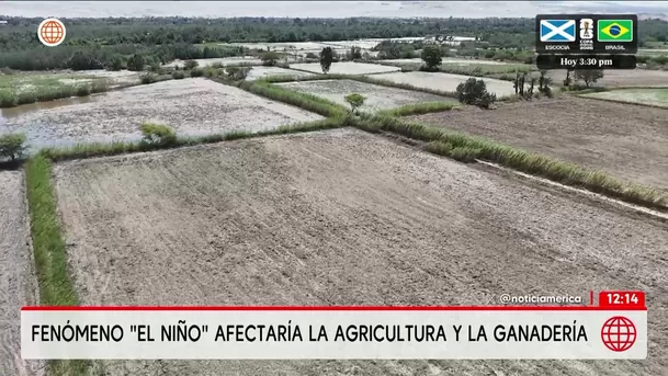 Fenómeno de El Niño amenaza la agricultura y ganadería. Foto: América Noticias