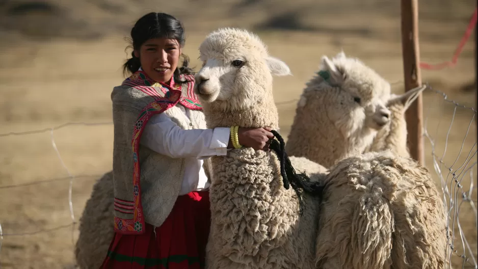 Más de 600 mil hectáreas de cultivos serán protegidas. Foto: Infoalpacas.com