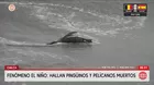 Fenómeno El Niño provoca muerte de aves en Chilca