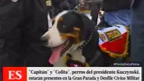 Las acrobacias de los oficiales de la Policía Canina se robaron toda la atención