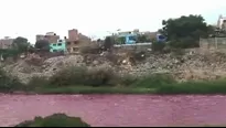 Video: Canal N