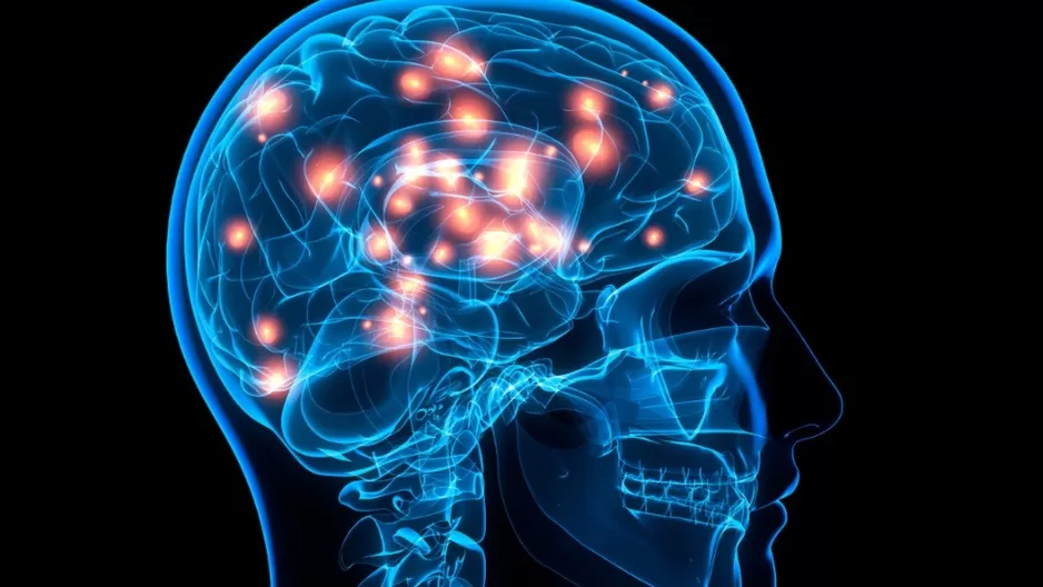 La fototerapia ayudaría a recuperación de lesiones cerebrales importantes. Foto: Radiology La fototerapia ayudaría a recuperación de lesiones cerebrales importantes. Foto: Radiology