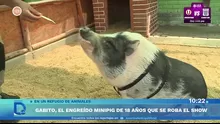 Foto y video: América Noticias