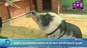 Foto y video: América Noticias