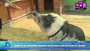 Foto y video: América Noticias