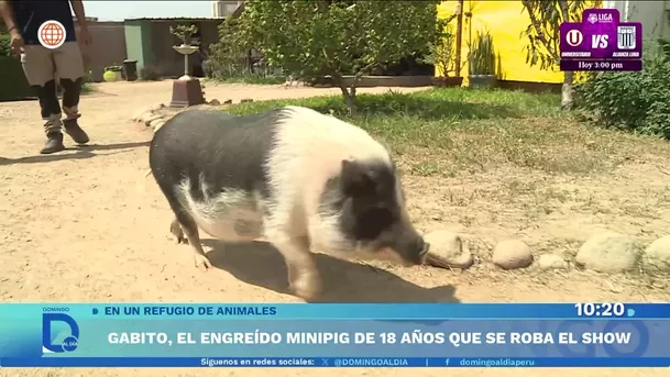 Fuente: Domingo Al Día Fuente: Domingo Al Día
