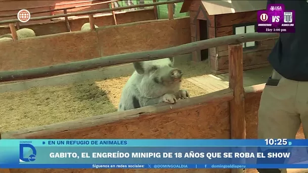 Fuente: Domingo Al Día Fuente: Domingo Al Día