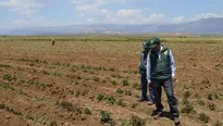 Este fenómeno de la naturaleza viene afectando a sus cultivos principalmente en las regiones del centro y sur del país.