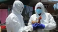 Gobierno declara emergencia sanitaria por influenza aviar. Foto: Andina / Video: América Noticias
