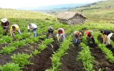 Gobierno declaró en emergencia el sector agrario por 120 días  - Noticias de midagri
