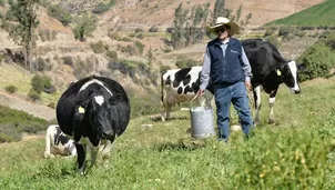 El ministro Tenorio informó que hubo una reunión con representantes de la Asociación de Ganaderos de Leche del Perú (Agalep) / Foto: Archivo El Comercio