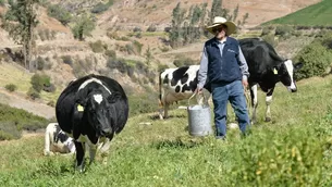 El ministro Tenorio informó que hubo una reunión con representantes de la Asociación de Ganaderos de Leche del Perú (Agalep) / Foto: Archivo El Comercio